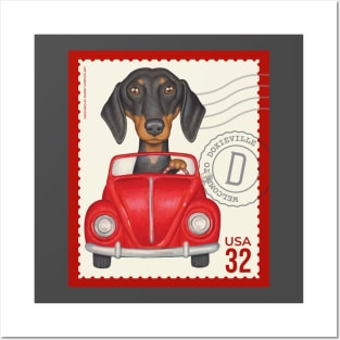 Cute Doxie driving classic red car on vintage stamp Posters and Art